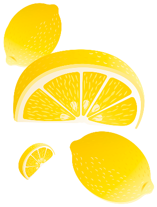 Illustration of lemons in various stages on a white background